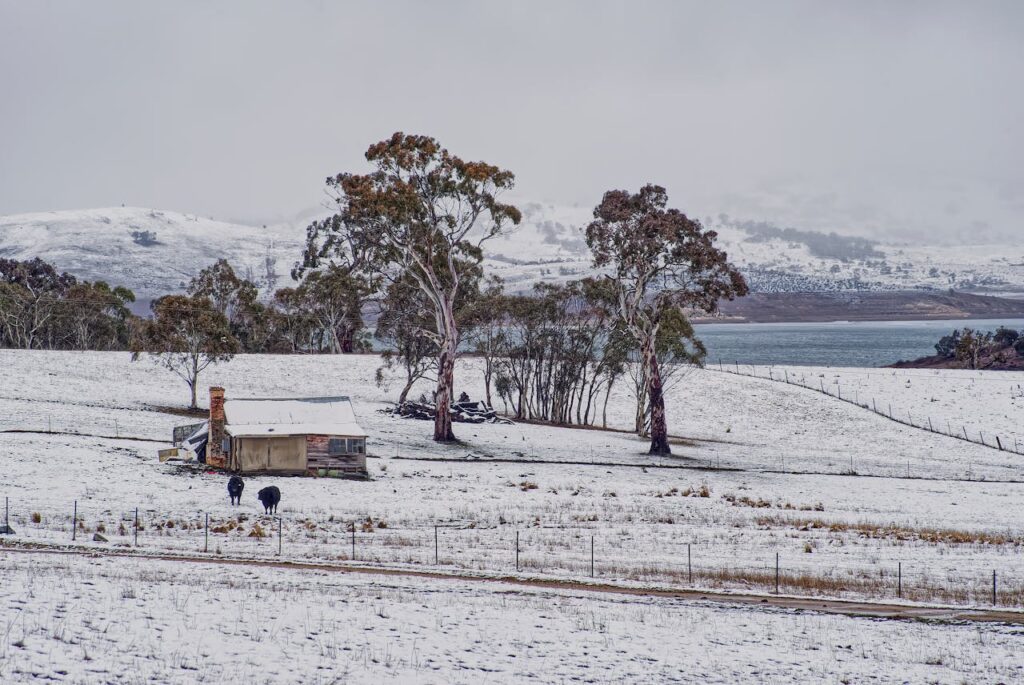 winter- seasons in Australia