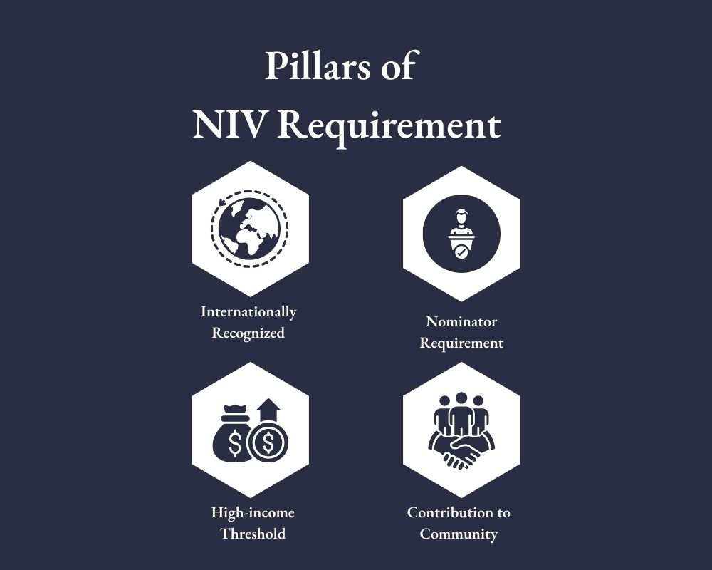 National Innovation Visa - Pillars of NIV Requirement
